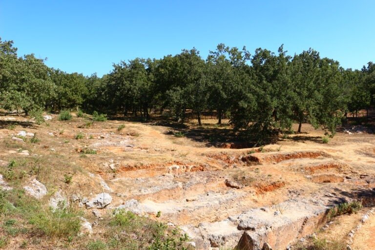armeni