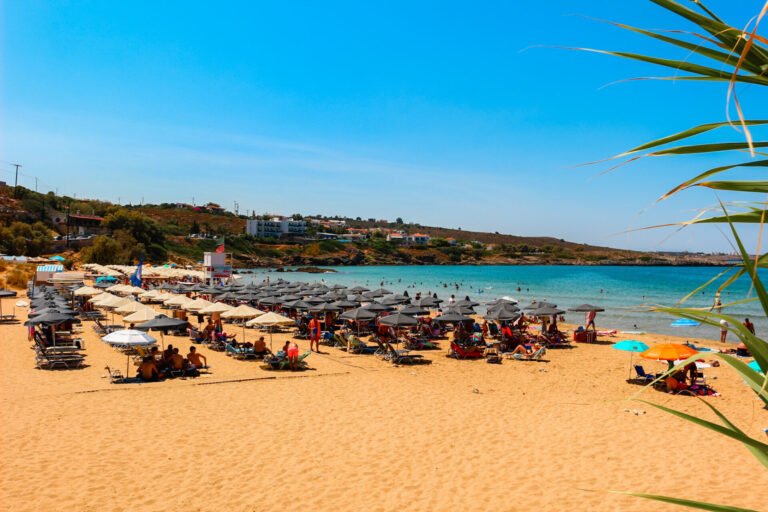 2022 08 19 13 11 56 [canon eos 100d]