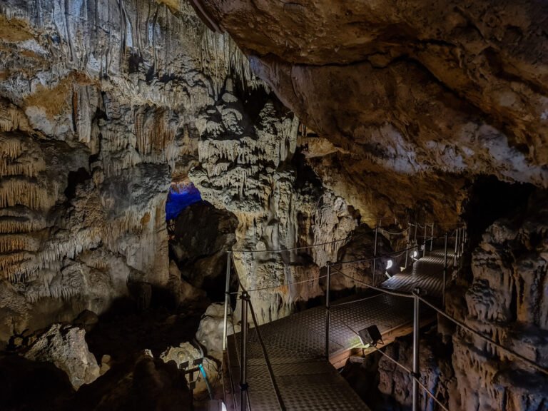 1 2022 08 18 15 58 02 [sm n986b]