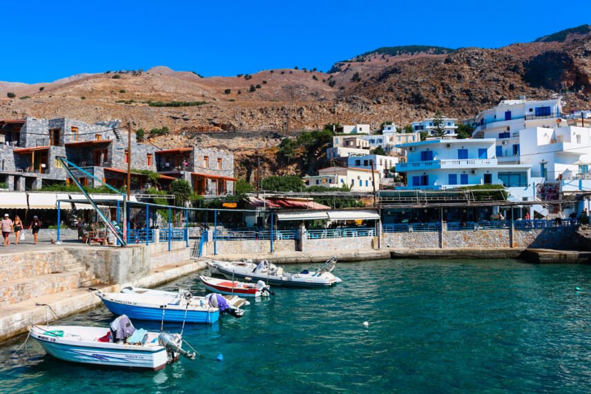 2022 08 21 10 20 14 [canon eos 100d] (1)