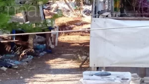 aerodromio skoupidia3.jpg