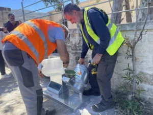 nees taistres potistres 4.jpg